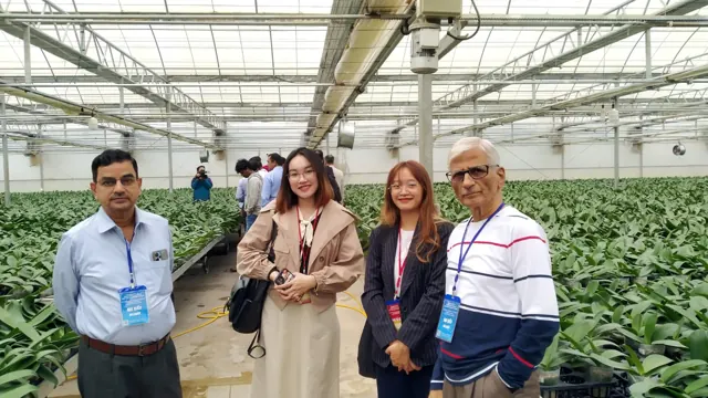 AFGED representatives visiting an agricultural greenhouse